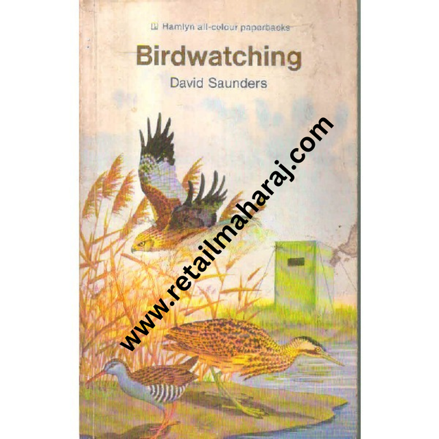 hamlyn birdwatching - Retail Maharaj