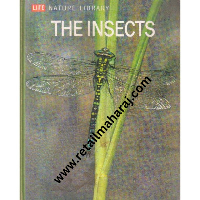 the insects [Time Life Books] - Retail Maharaj