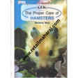 the proper care of hamsters - Retail Maharaj