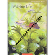 Marine life - Retail Maharaj