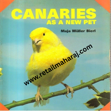 Canaries as a new pet. - Retail Maharaj
