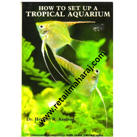 How to set up a Tropical Aquarium. - Retail Maharaj