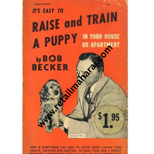 Its Easy to Raise and Train a Puppy in your house or aparment. - Retail Maharaj