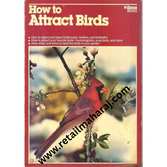 How To Attract Birds - Retail Maharaj