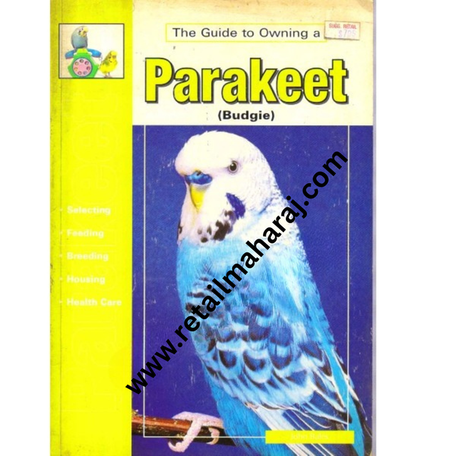 The Guide to Owning a Parakeet - Retail Maharaj