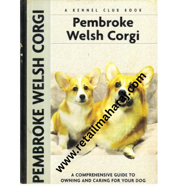 Pembroke Welsh Corgi. - Retail Maharaj