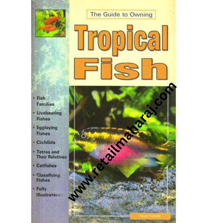 Tropical Fish. - Retail Maharaj