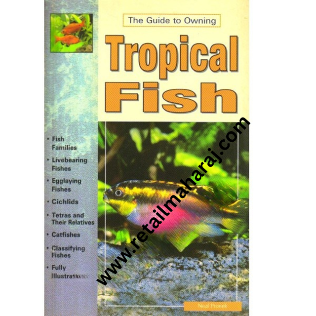 Tropical Fish. - Retail Maharaj