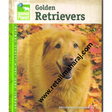 Golden Retrievers. - Retail Maharaj