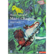 Musee National Marc Chagall Nice - Retail Maharaj