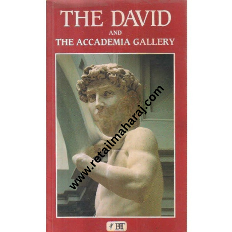 the david and the accademia gallery - Retail Maharaj