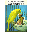 all about breeding canaries - Retail Maharaj