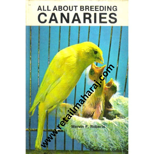all about breeding canaries - Retail Maharaj