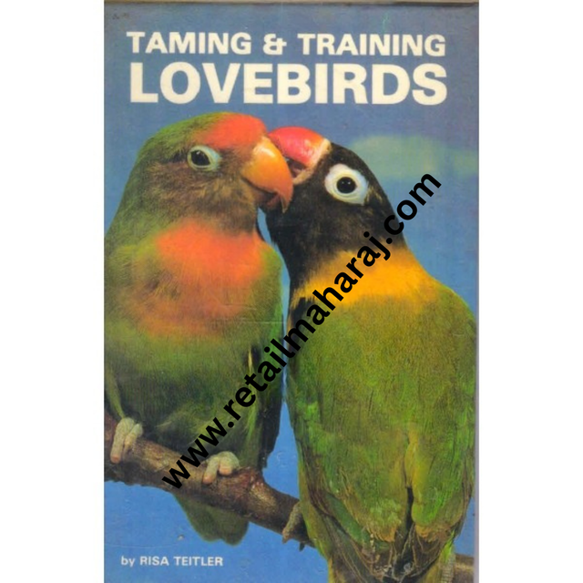 taming and training lovebirds - Retail Maharaj