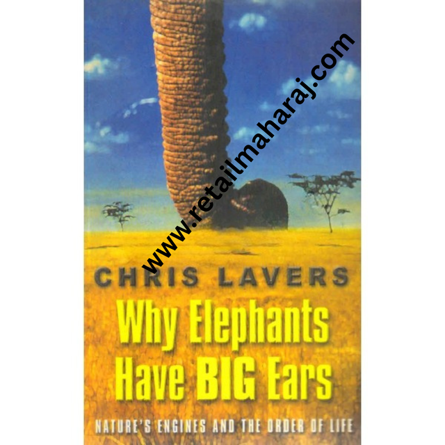 why elephants have big ears - Retail Maharaj