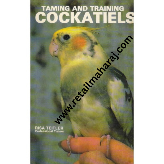 taming and training cockatiels - Retail Maharaj