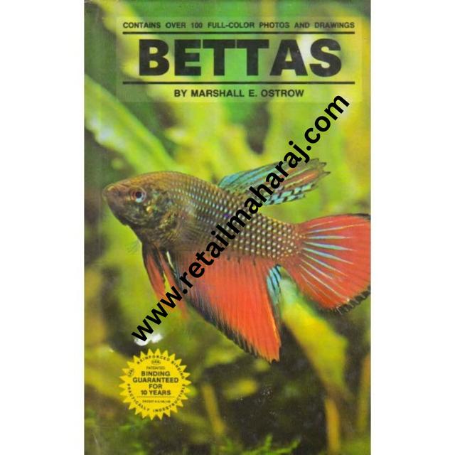 bettas - Retail Maharaj