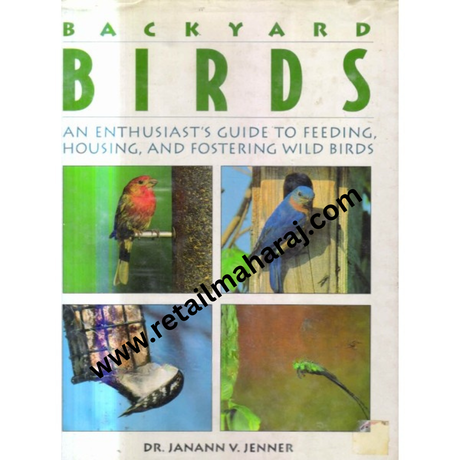 backyard birds - Retail Maharaj