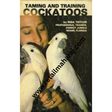 taming and training cockatoos - Retail Maharaj