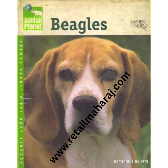 beagles animal planet - Retail Maharaj