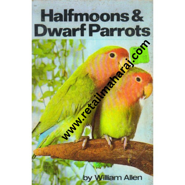 halfmoons and dwarf parrots - Retail Maharaj