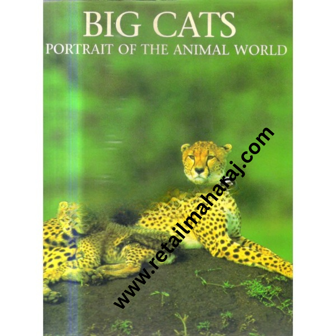 big cats portrait of the animal world - Retail Maharaj