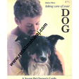 taking care of your dog - Retail Maharaj