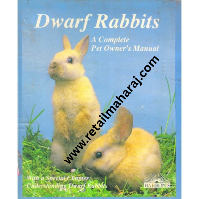 dwarf rabbits - Retail Maharaj