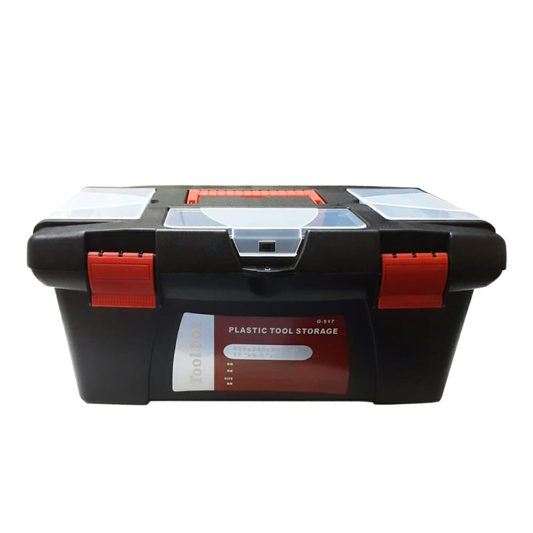 Boss Of Art Storage Box Organizer with Removable Tray – Large Size - Retail Maharaj