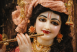 Bal Gopal Santan Kripa Prasad - Retail Maharaj