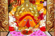 Mata Chintpurni Shakti Divya Prasad Seva - Retail Maharaj
