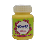 Pidilite Fevicryl Acrylic Colour 100ml Black - Retail Maharaj