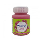 Pidilite Fevicryl Acrylic Colour 100ml Black - Retail Maharaj