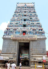 Saturn Transit Shani Peyarchi 2025 Special Poojas at Thirunallaru by Retail Maharaj - Retail Maharaj