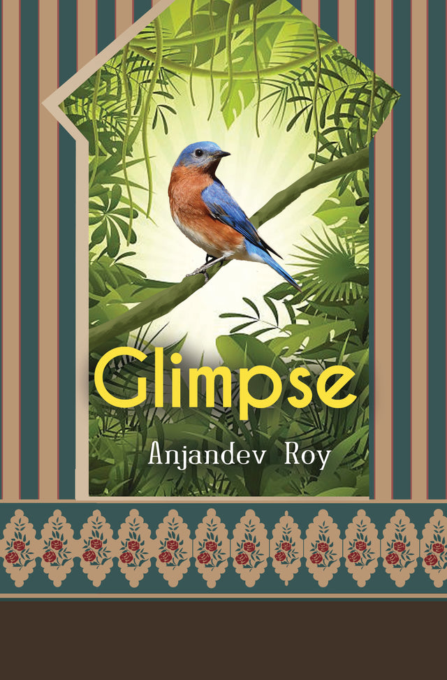 Glimpse - Retail Maharaj
