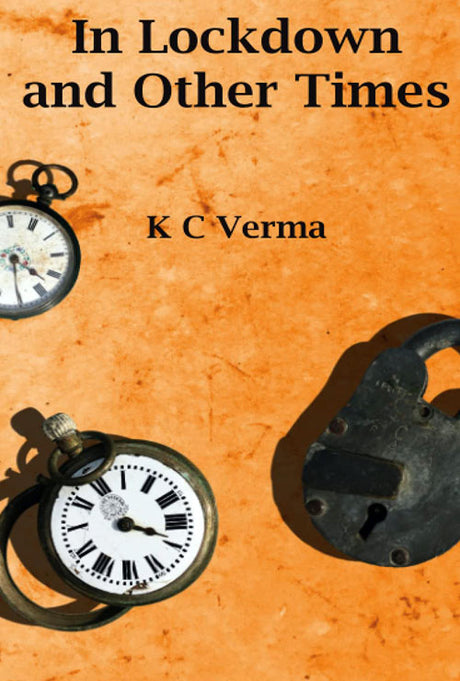 In Lockdown and Other Times (English Version) - Retail Maharaj