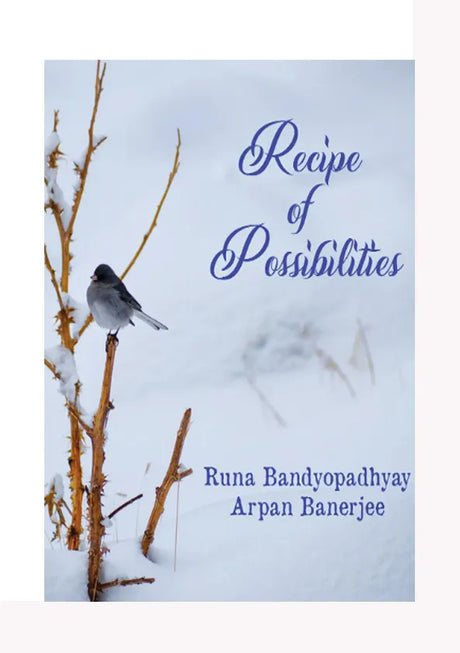 Recipe of Possibilities  (English Version) - Retail Maharaj