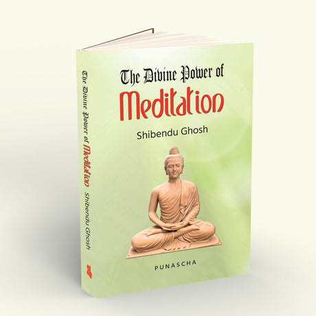 The Divine Power of Meditation - Retail Maharaj