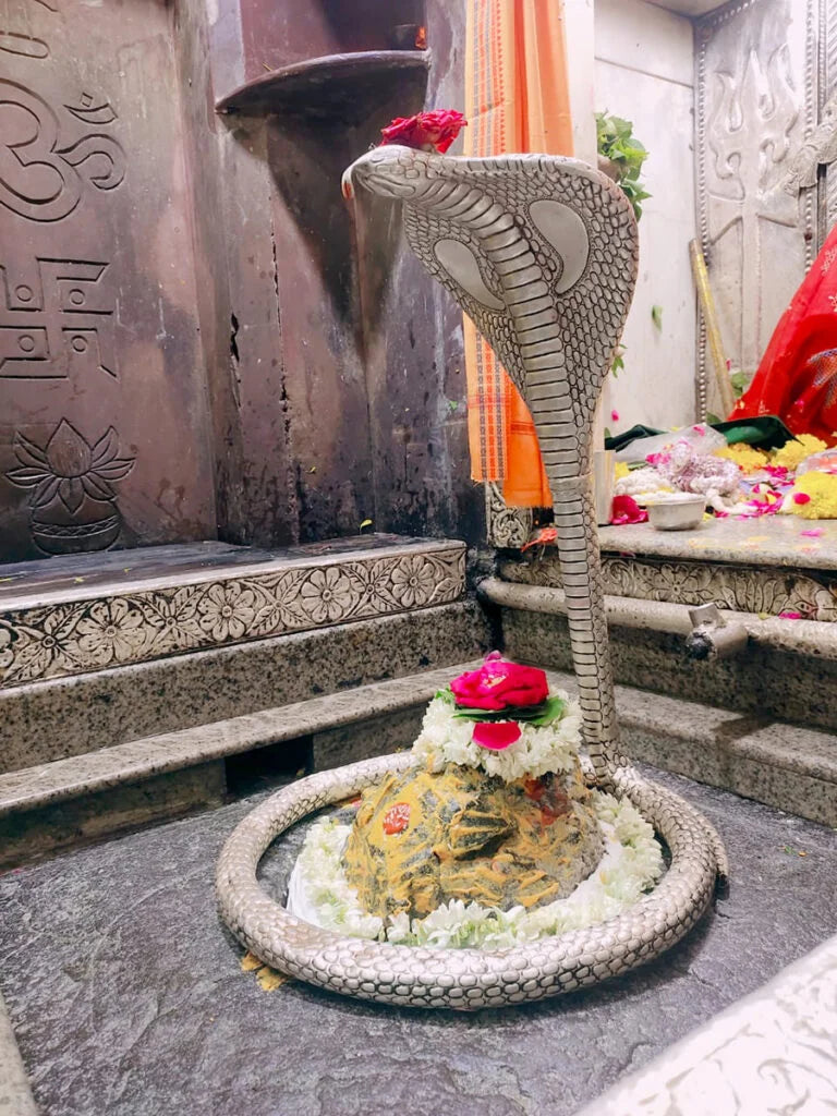 Shri Omkareshwar Jyotirlinga Divya Prasad Seva