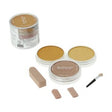 PanPastel Metallic Colours Sets – Professional Soft Pastels - Retail Maharaj