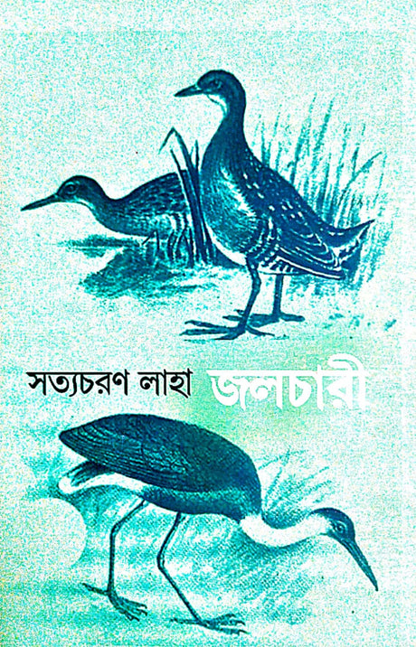 Jolchari (Bengali Version) - Retail Maharaj