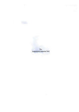 Wings of Mistakes: Doodles of Rabindranath Tagore (English Version) - Retail Maharaj
