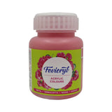 Pidilite Fevicryl Acrylic Colour 100ml Black - Retail Maharaj