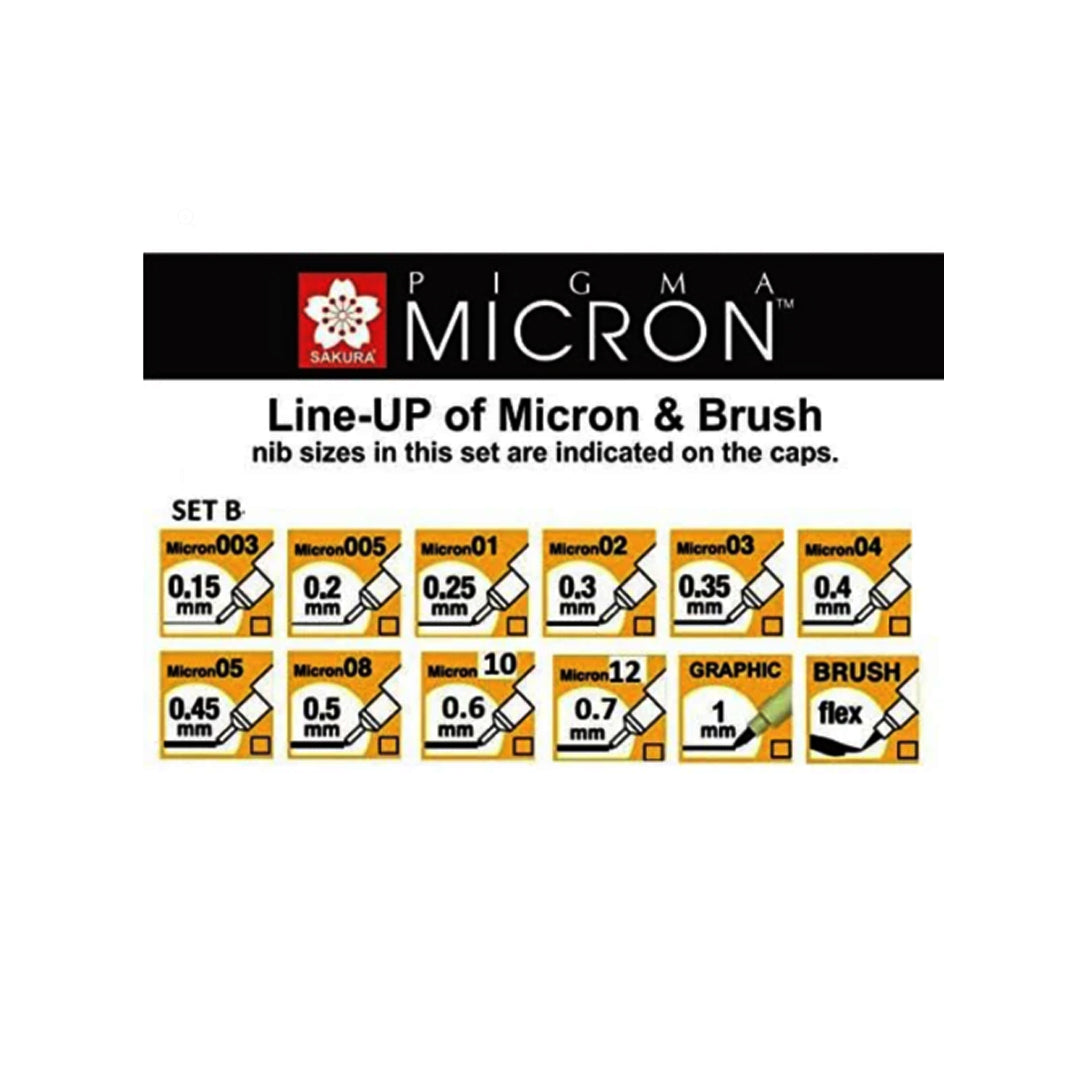 Sakura Pigma Micron Set of 12 Fineliners Assorted Nibs Black - Retail Maharaj