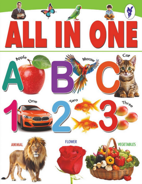 Allin One (English Version) - Retail Maharaj
