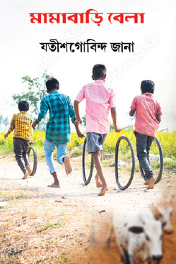 Mamabari Bela (Bengali Version) - Retail Maharaj