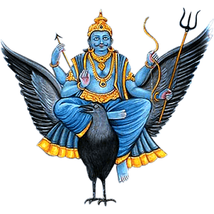 Shani Kripa Shani Dev Puja Prasad for Career Success and Stability - Retail Maharaj