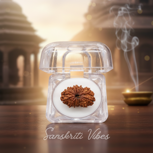 14 Mukhi Original Nepali Rudraksha Powerful Divine Rudraksha for Protection Courage Intuition and Success - Retail Maharaj