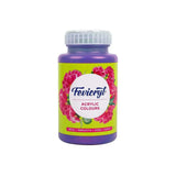 Pidilite Fevicryl Acrylic Colours 500ml - Retail Maharaj