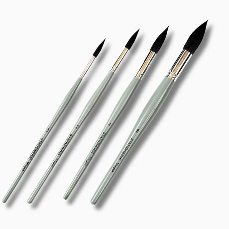 Stationerie Squirrel Synthetic Mop Brush Set of 4 - Retail Maharaj